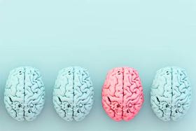 retrain your brain masterclass retrain your brain masterclass